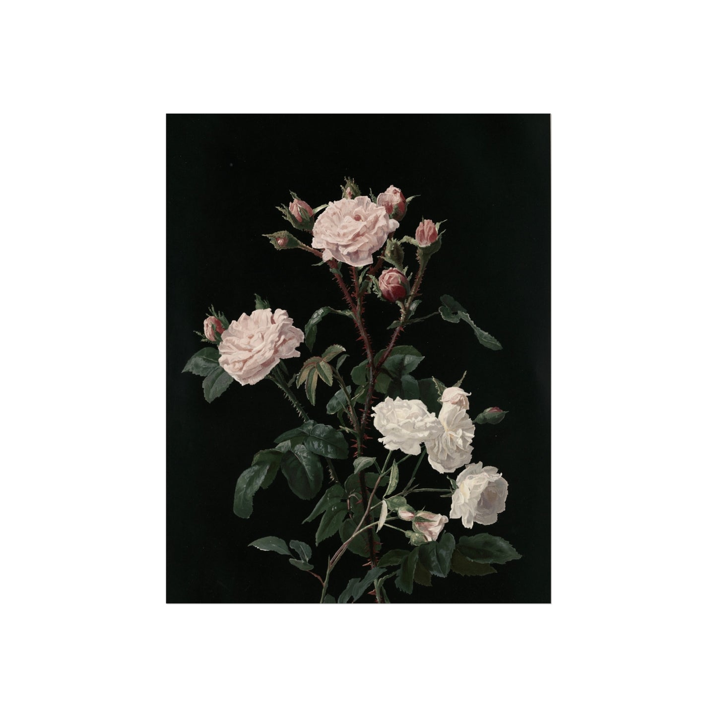 Rose Bouquet Fine Art Poster — Vintage Dark Floral Wall Art Print