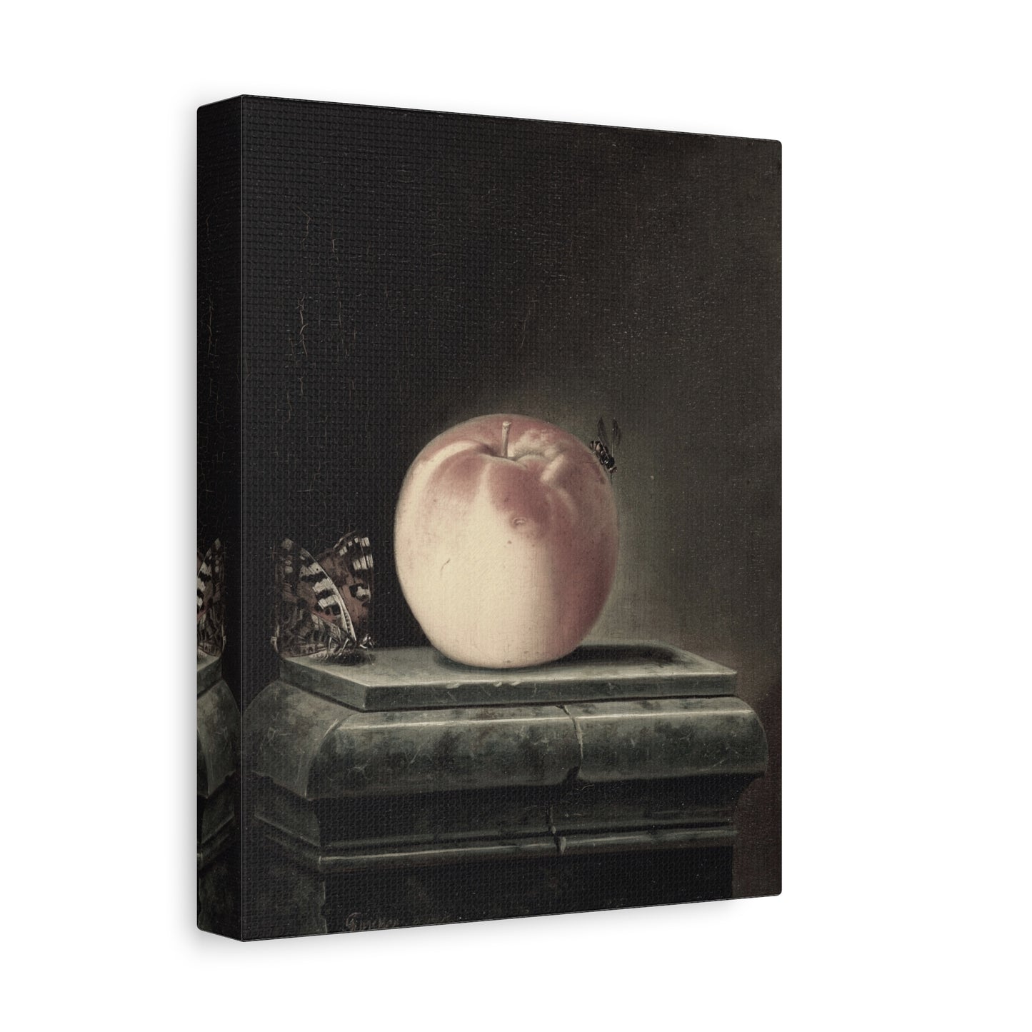 Peach and Butterfly Matte Canvas Print — Stretched Wall Art