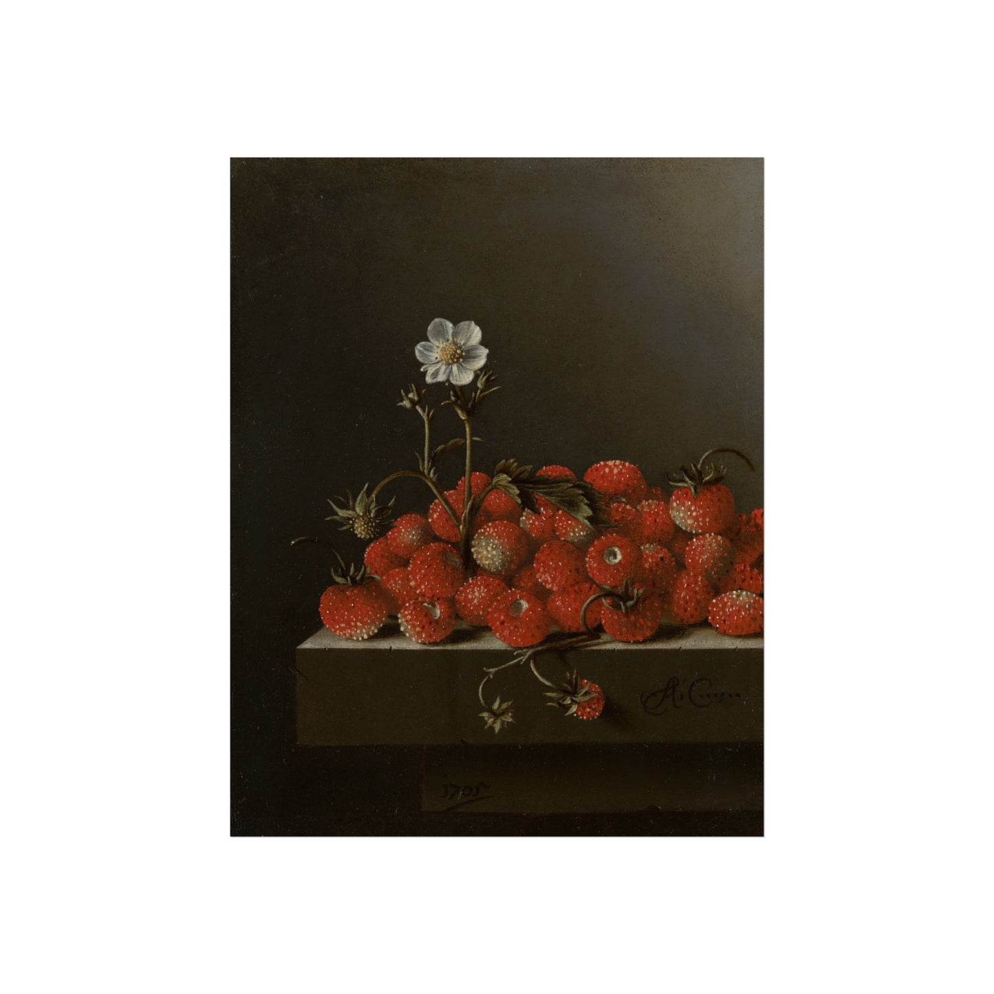 Fine Art Poster - Vintage Strawberry Still Life Print