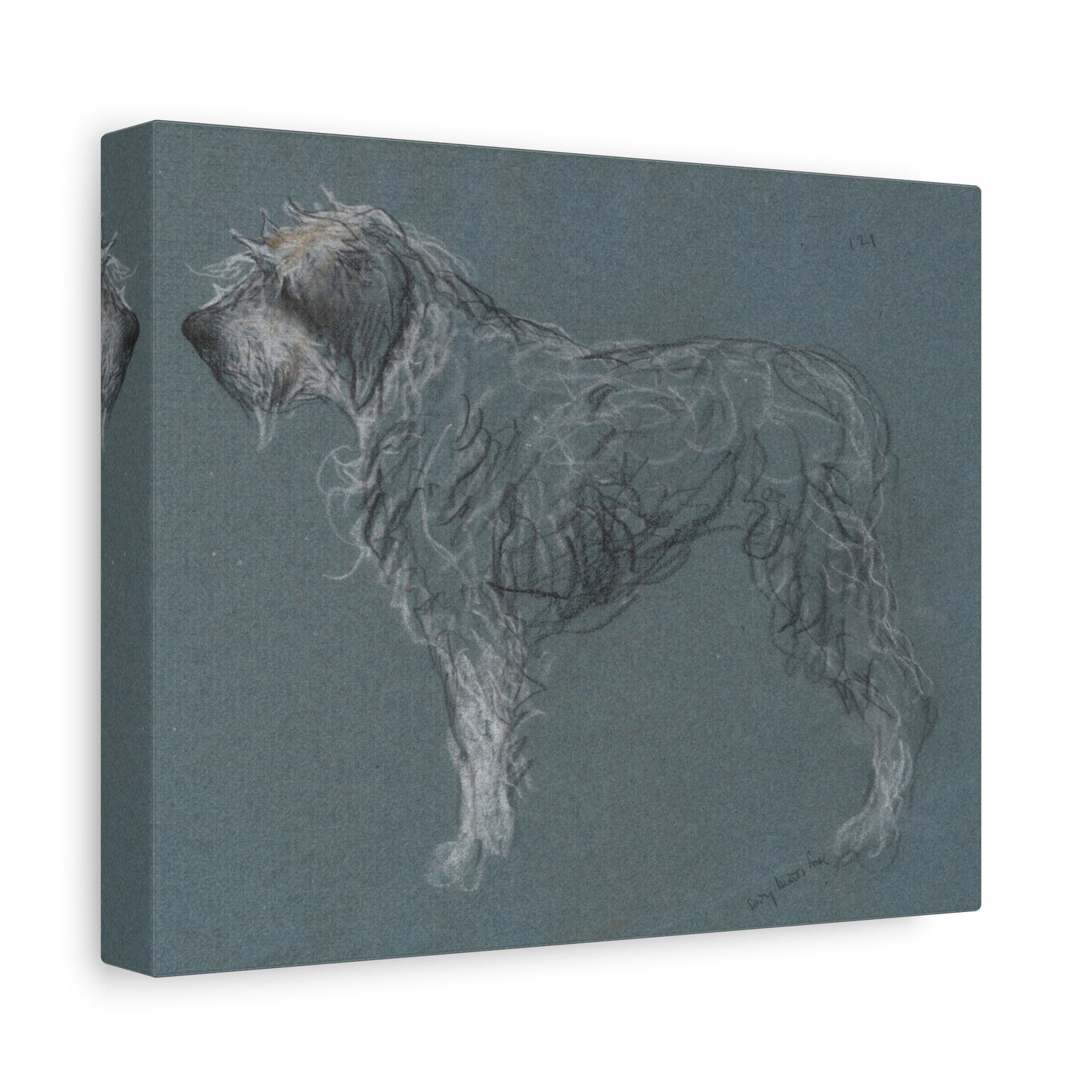 Wirehaired Dog Sketch Matte Canvas Print — Stretched 1.25"