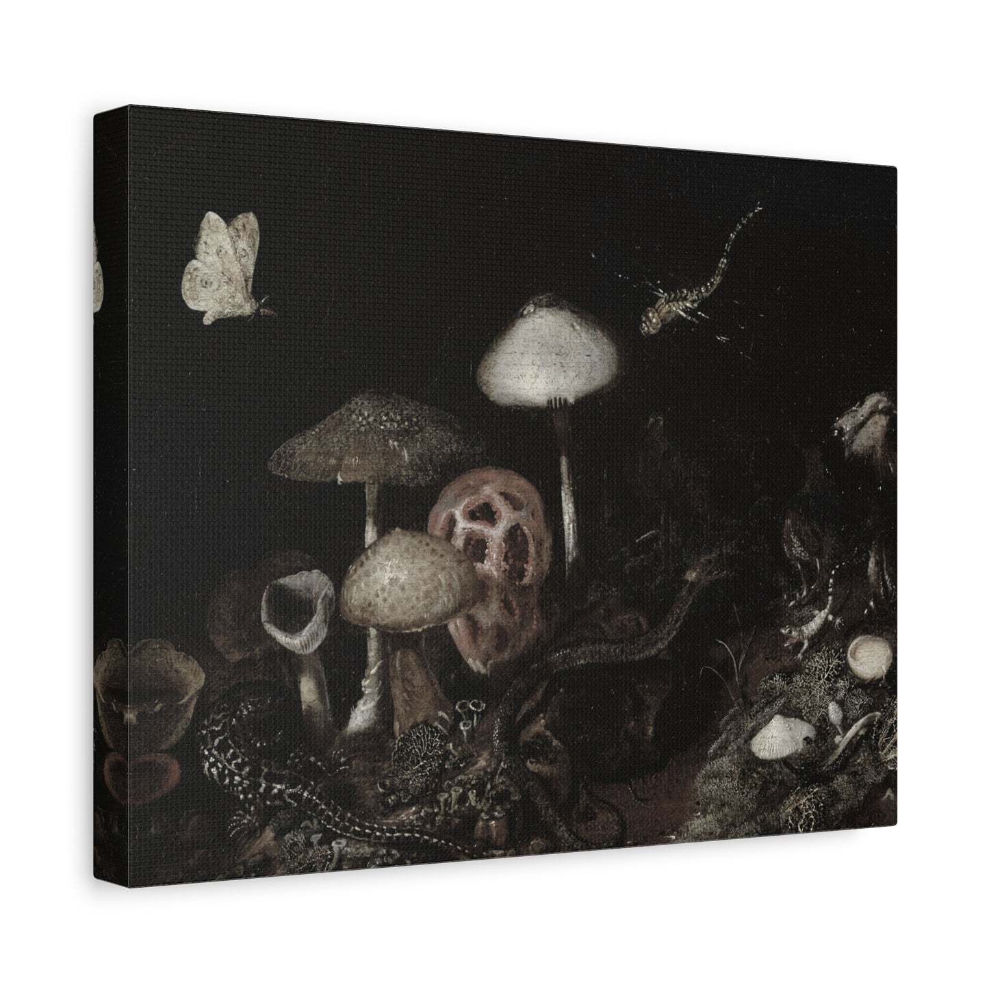 Mushroom Nightscape Canvas Print — Dark Botanical Wall Art
