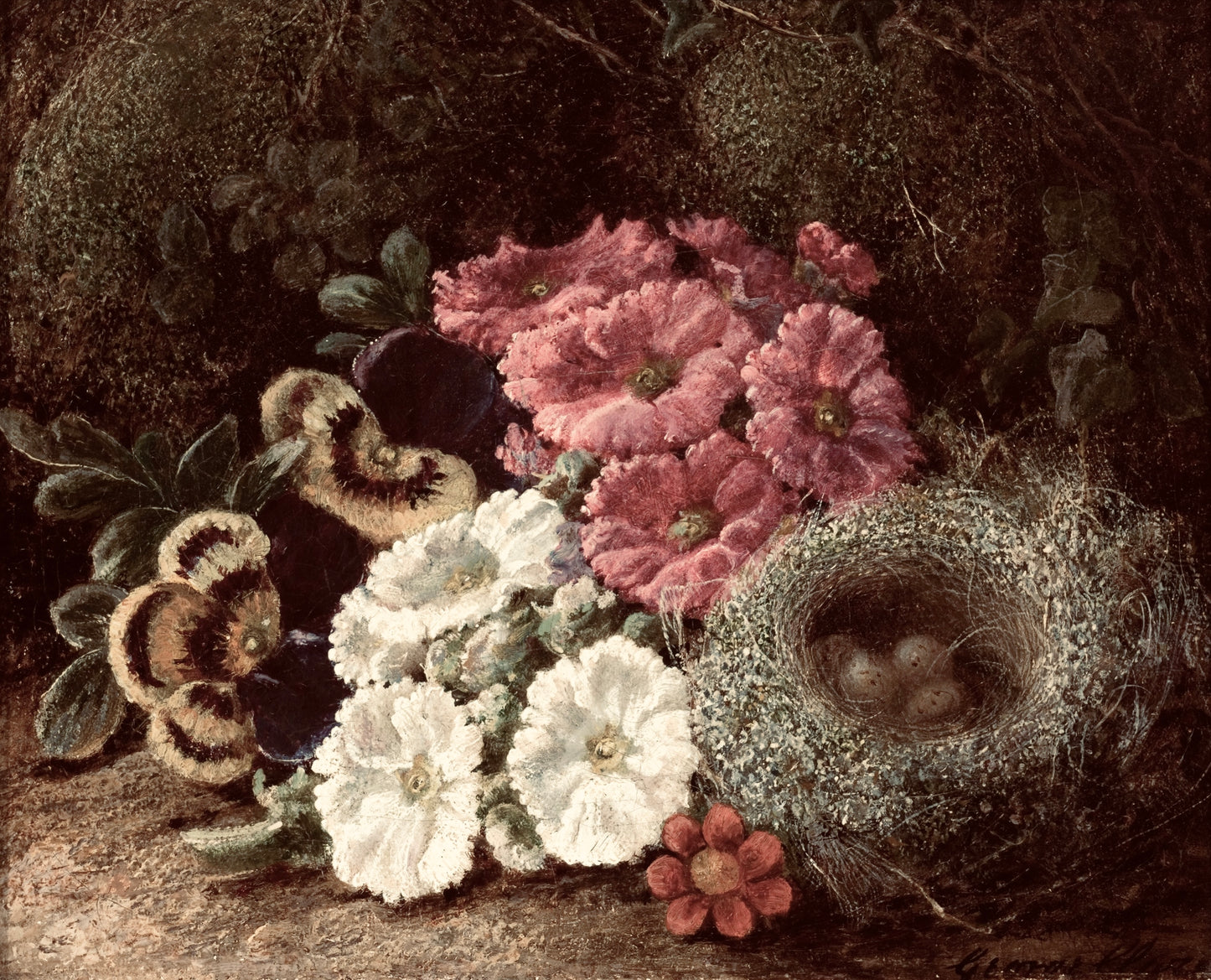 Still life with flowers and a bird's nest on a dark background