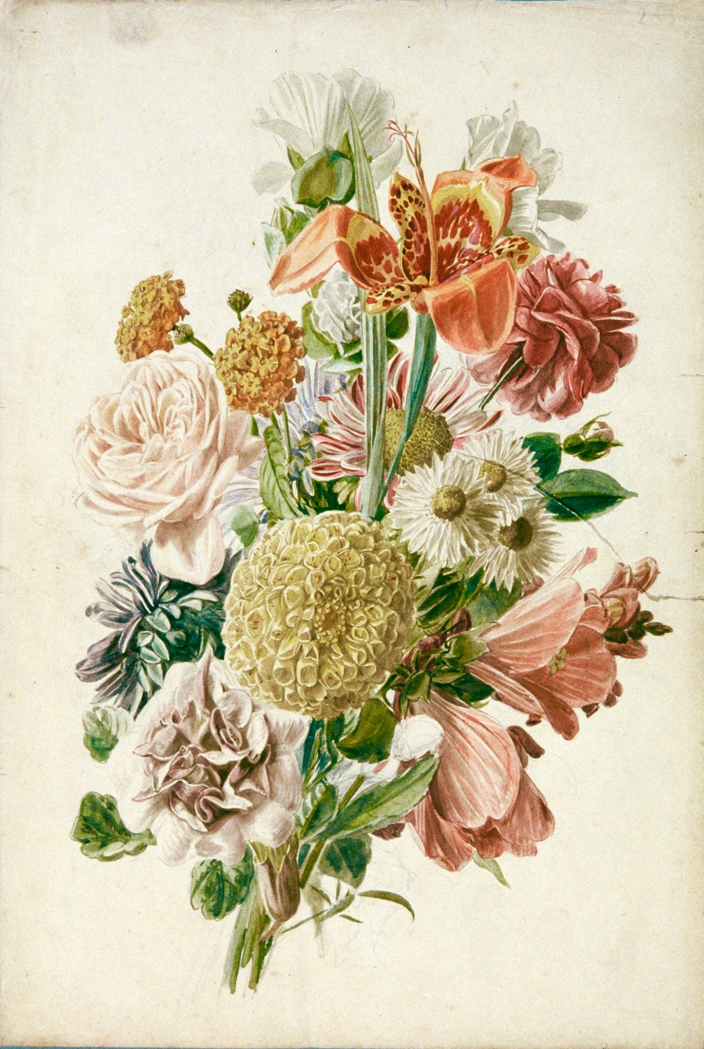 Botanical Bouquet Digital Print — Vintage Floral Wall Art Download