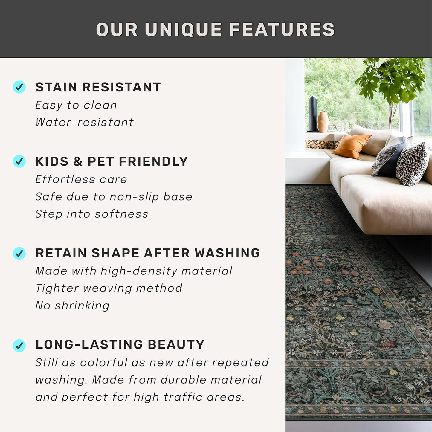 Text detailing unique features of a rug with a living room scene on the right.