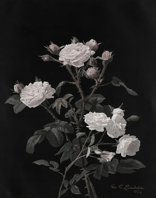 White Roses Wall Art Print | Moody Floral Bedroom Decor | Dark Academia Living Room Art | Printable Digital Download