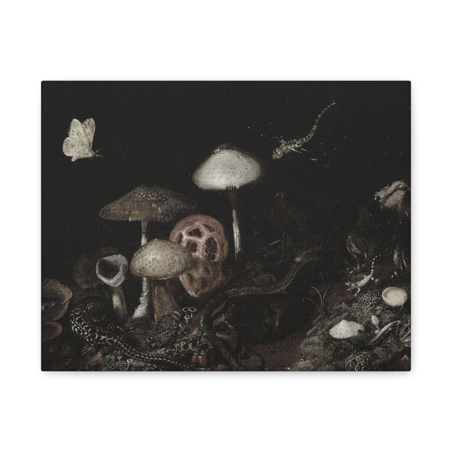 Mushroom Nightscape Canvas Print — Dark Botanical Wall Art