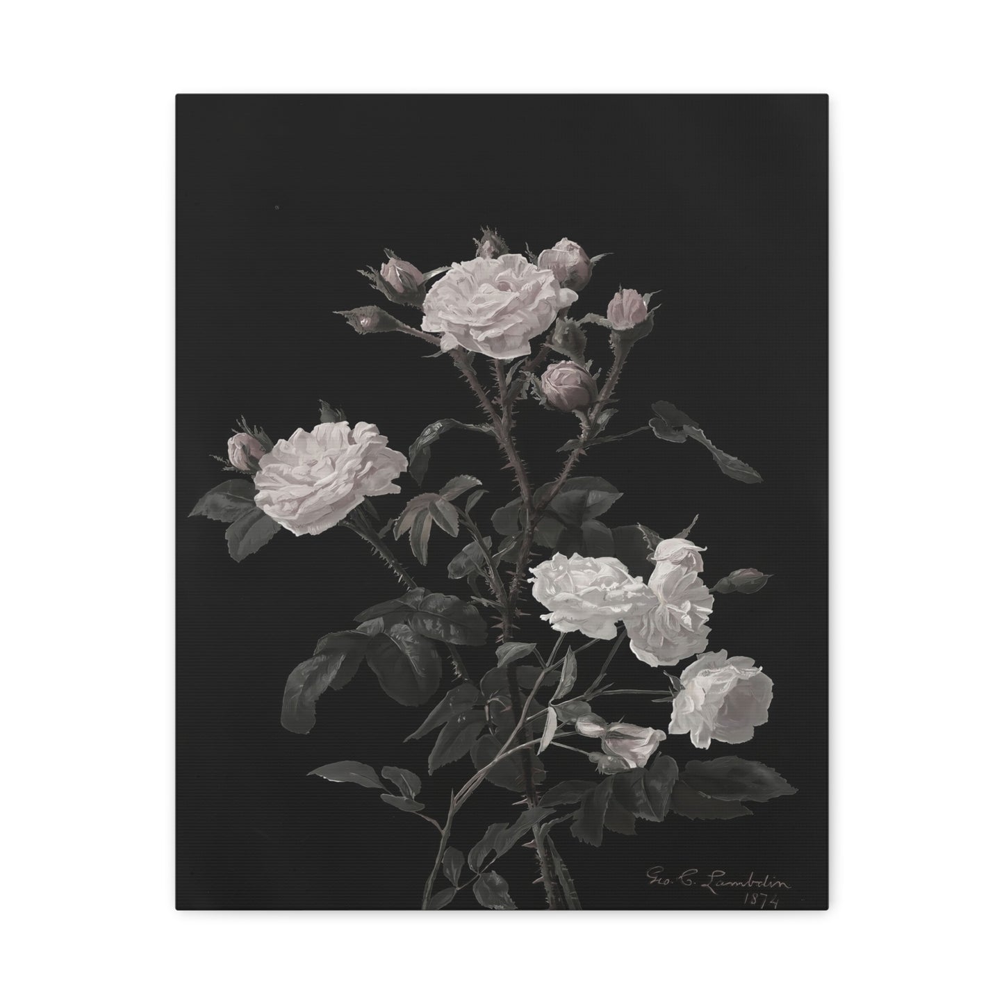 Vintage White Roses Canvas Wall Art — Matte Stretched Floral Print