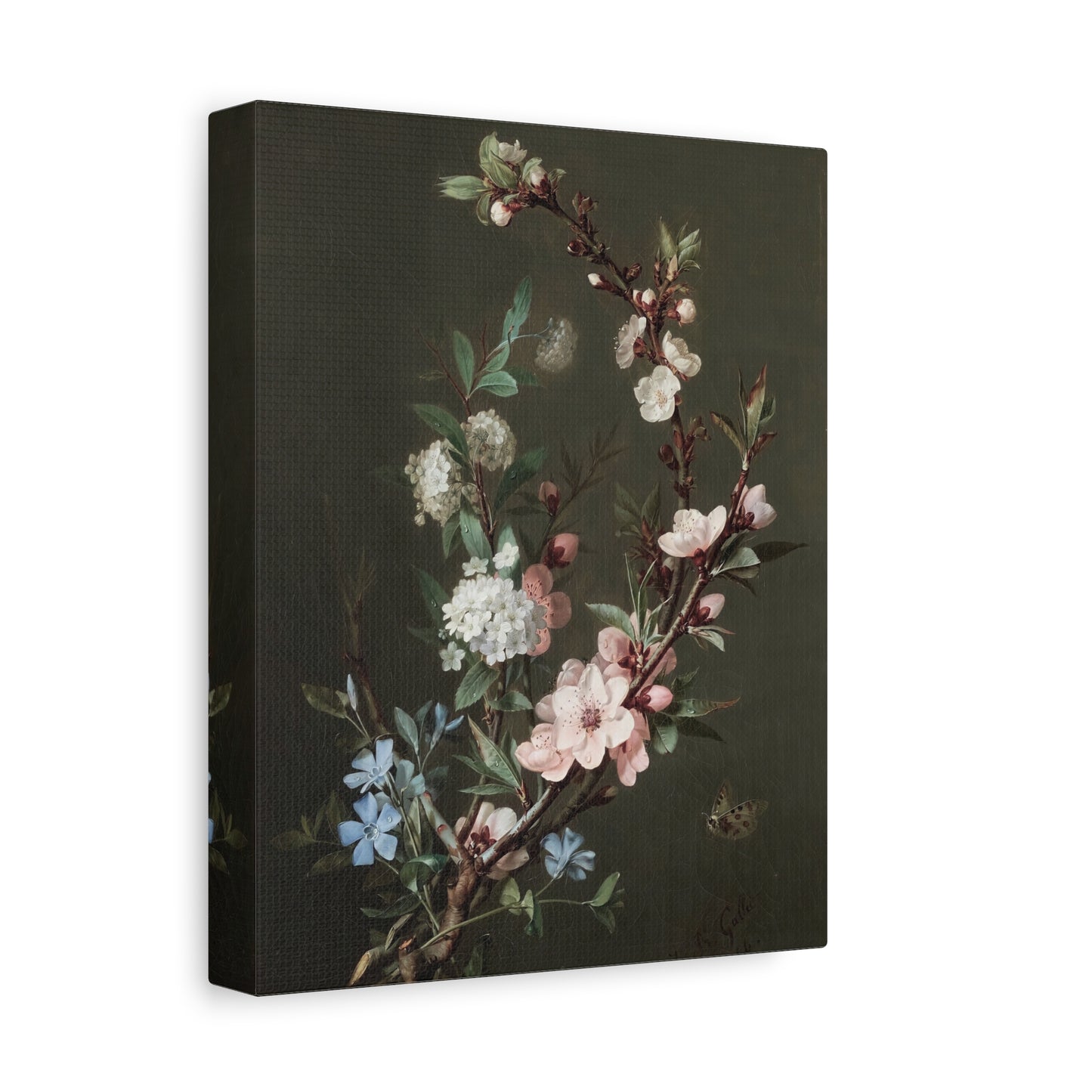 Floral Branch Matte Canvas Print — Stretched Botanical Wall Art
