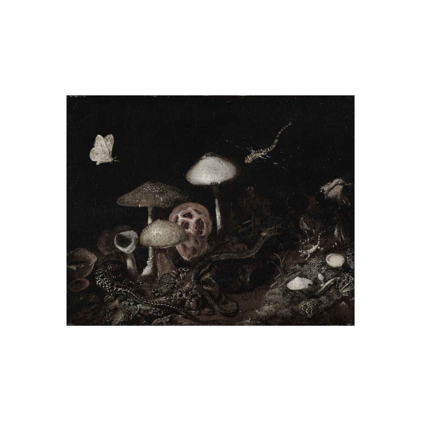 Mushroom Still Life Fine Art Poster — Dark Botanical Wall Art