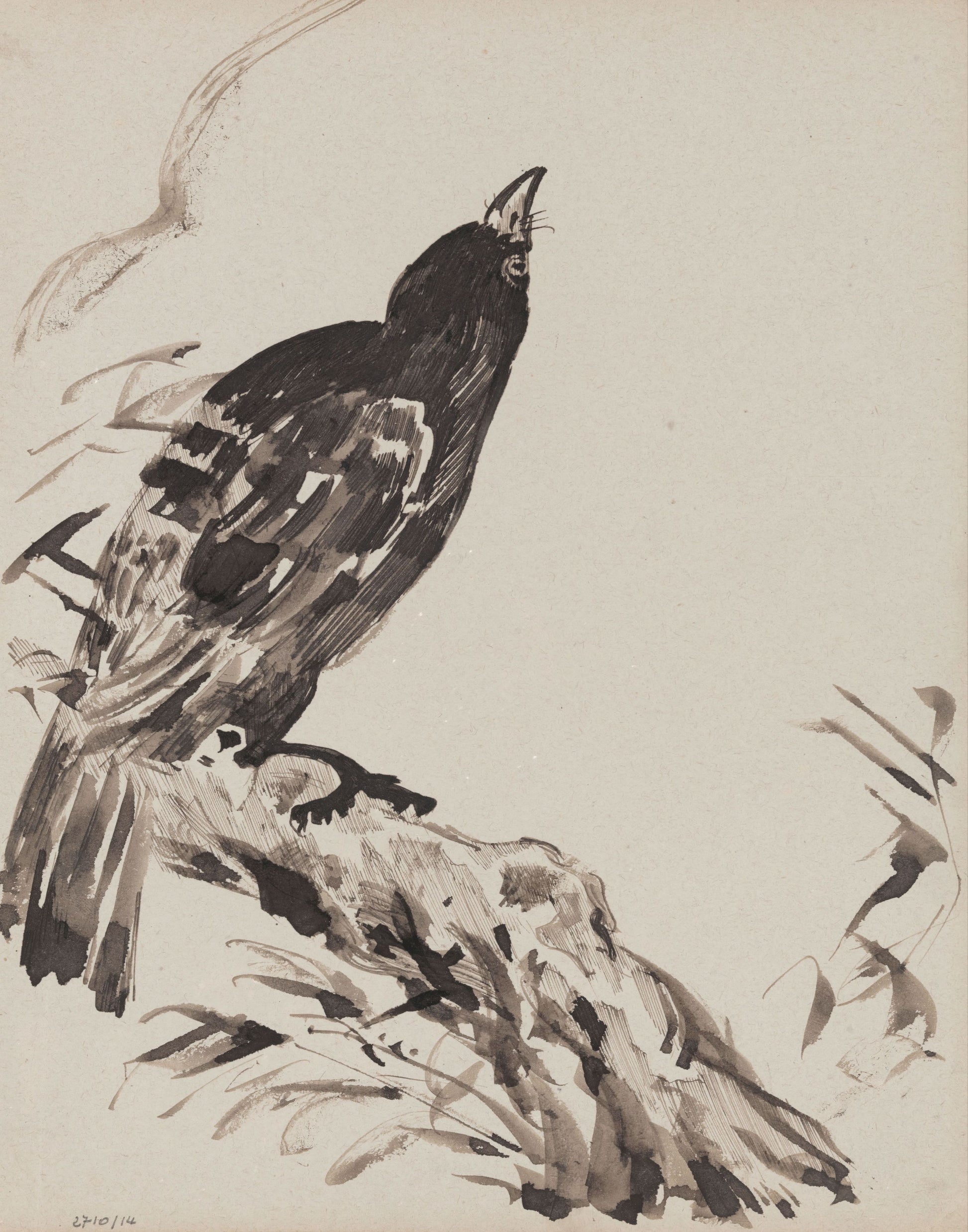 Ink drawing of a bird perched on a branch with a minimal background