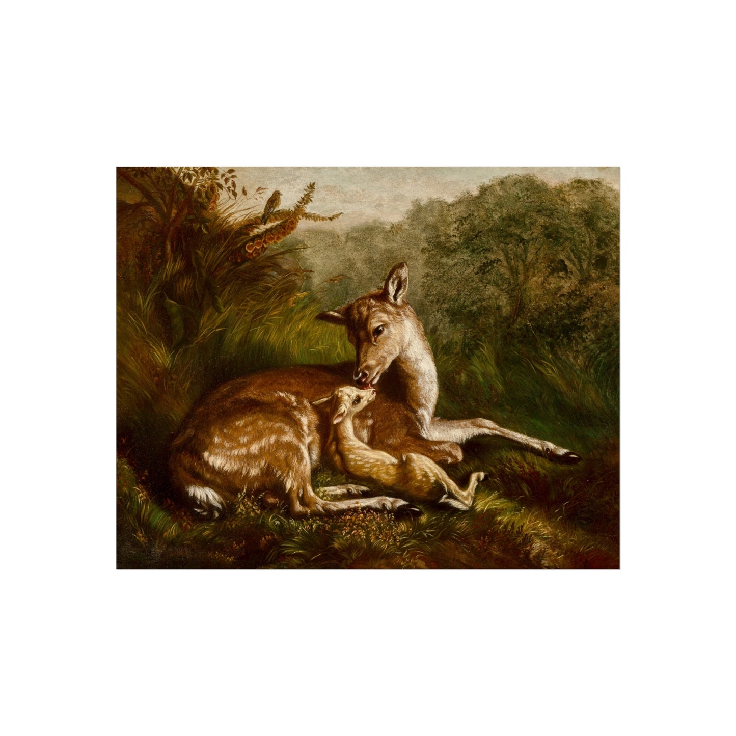 Vintage Deer Fine Art Poster — Mother and Fawn Woodland Print
