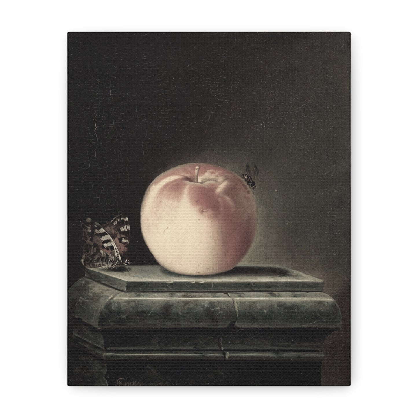 Peach and Butterfly Matte Canvas Print — Stretched Wall Art