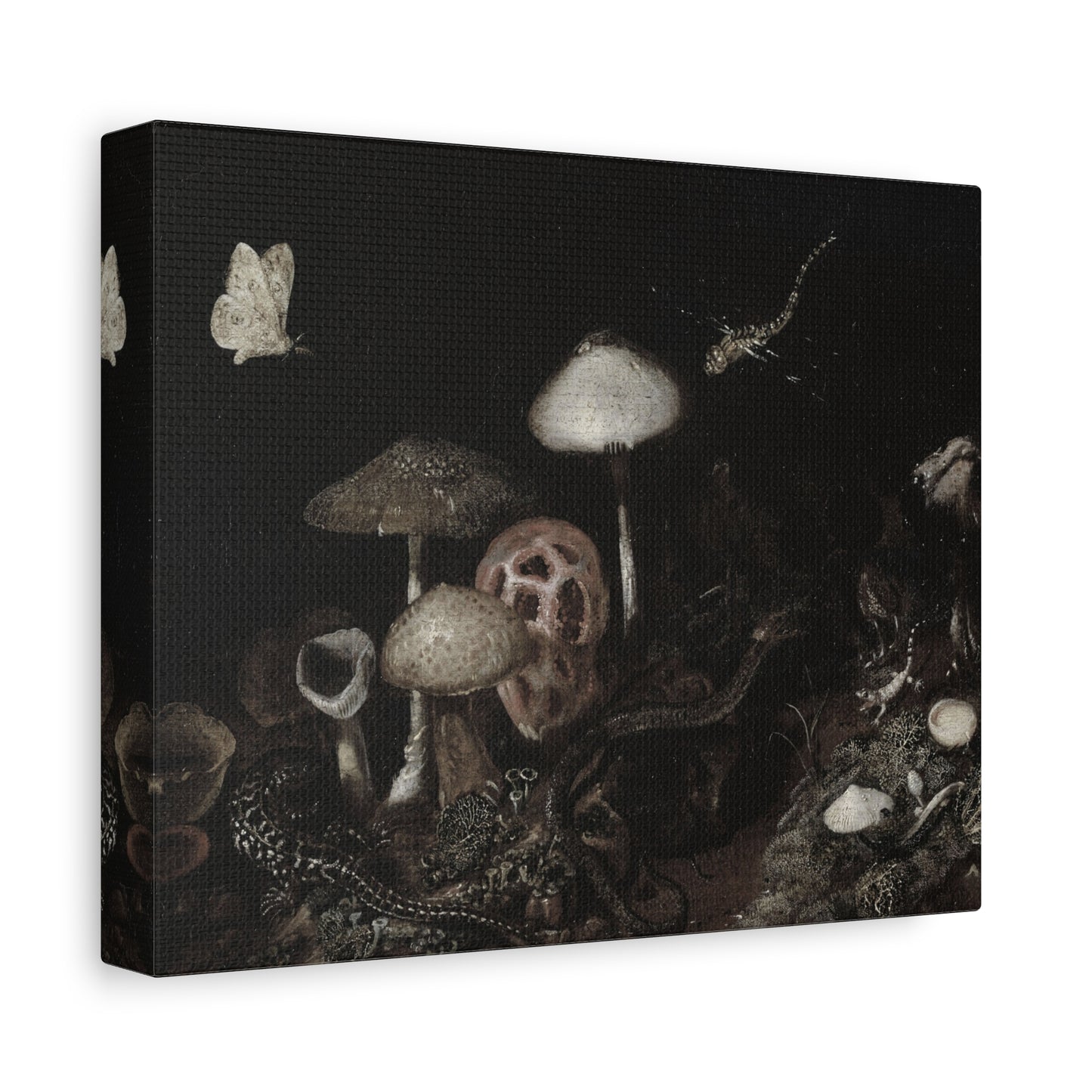 Mushroom Nightscape Canvas Print — Dark Botanical Wall Art