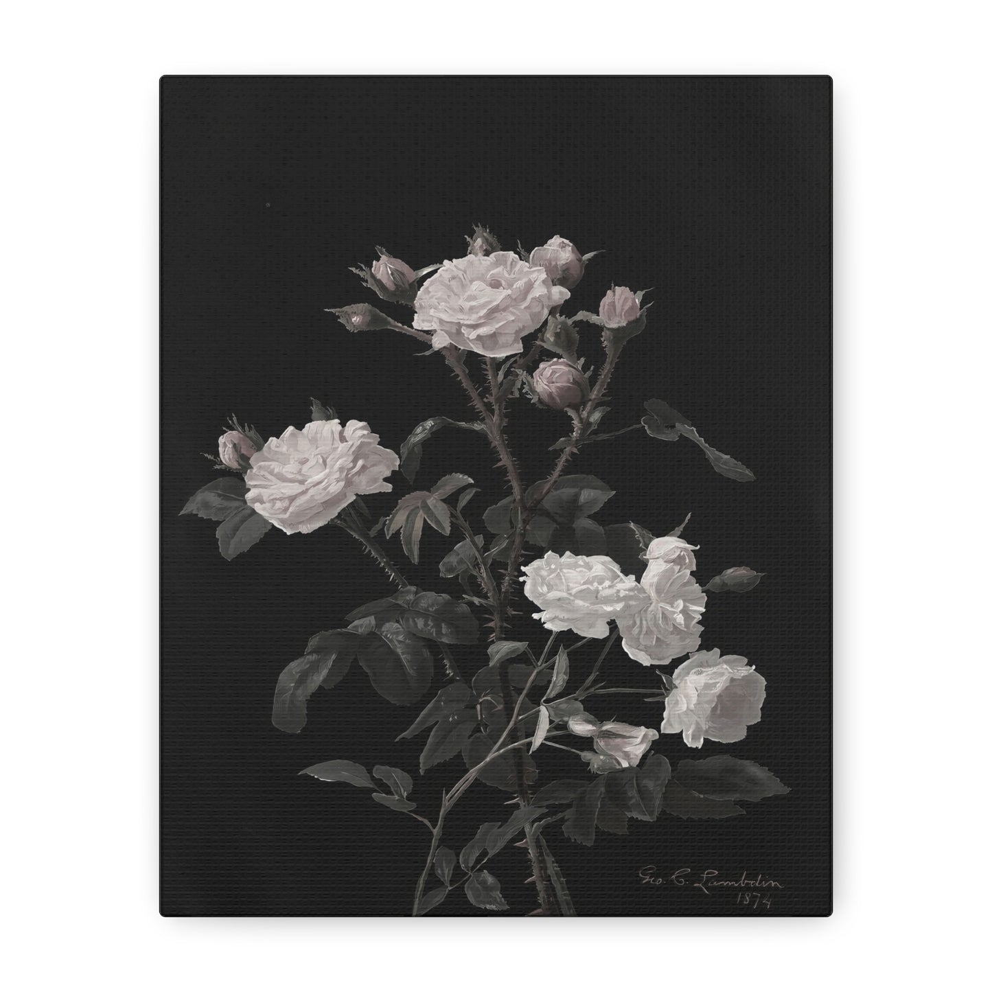 Vintage White Roses Canvas Wall Art — Matte Stretched Floral Print