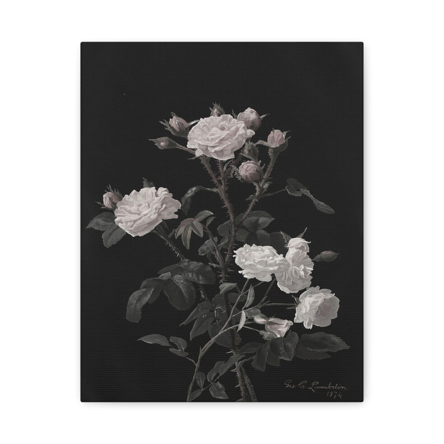 Vintage White Roses Canvas Wall Art — Matte Stretched Floral Print