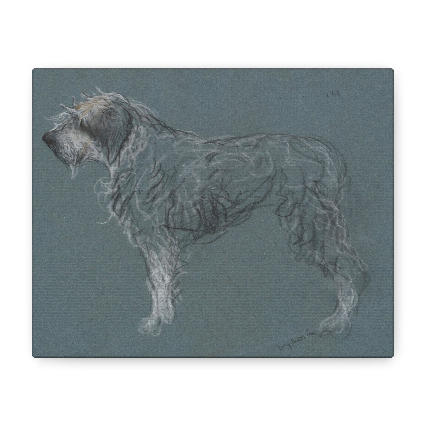 Wirehaired Dog Sketch Matte Canvas Print — Stretched 1.25"