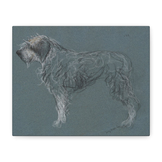 Wirehaired Dog Sketch Matte Canvas Print — Stretched 1.25"