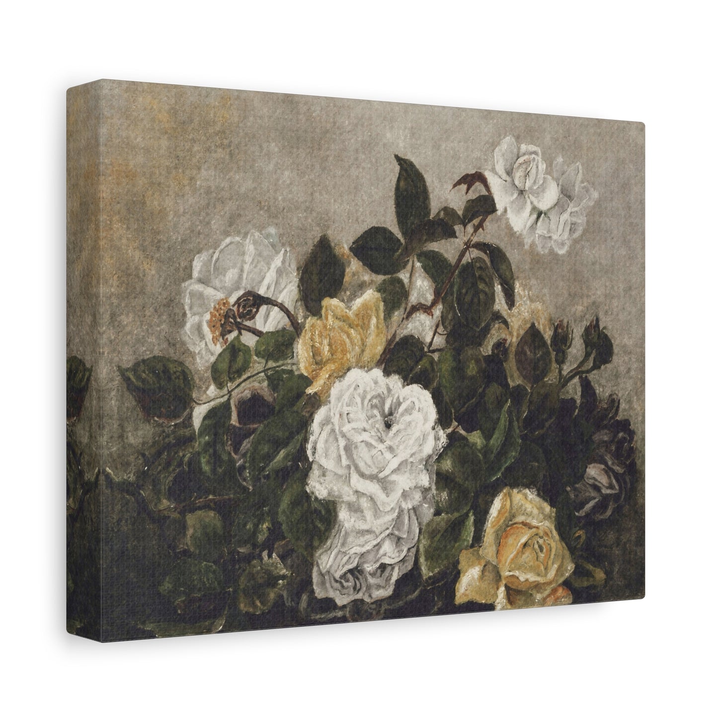 Vintage White & Yellow Rose Matte Canvas Wall Art - Stretched Floral Print