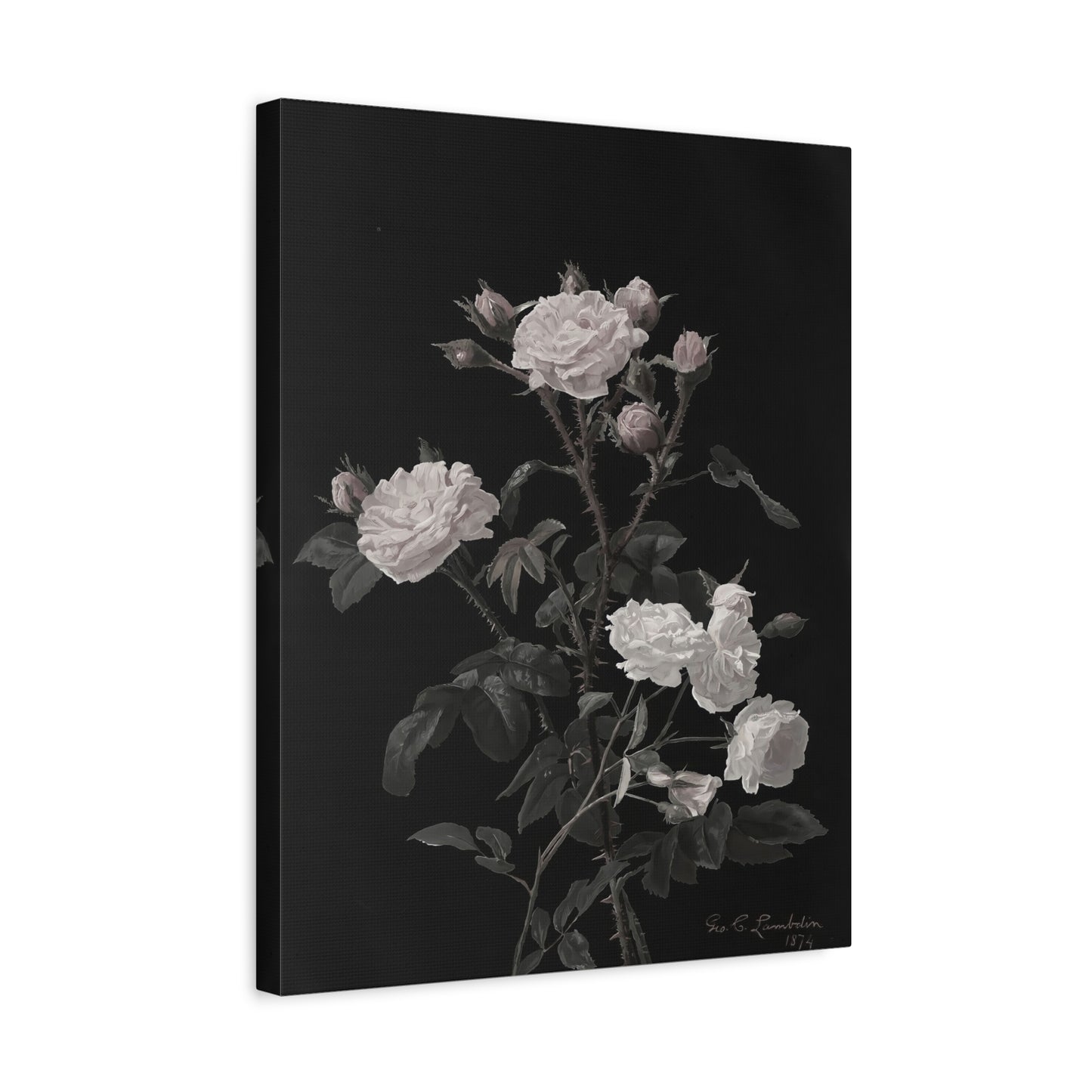 Vintage White Roses Canvas Wall Art — Matte Stretched Floral Print