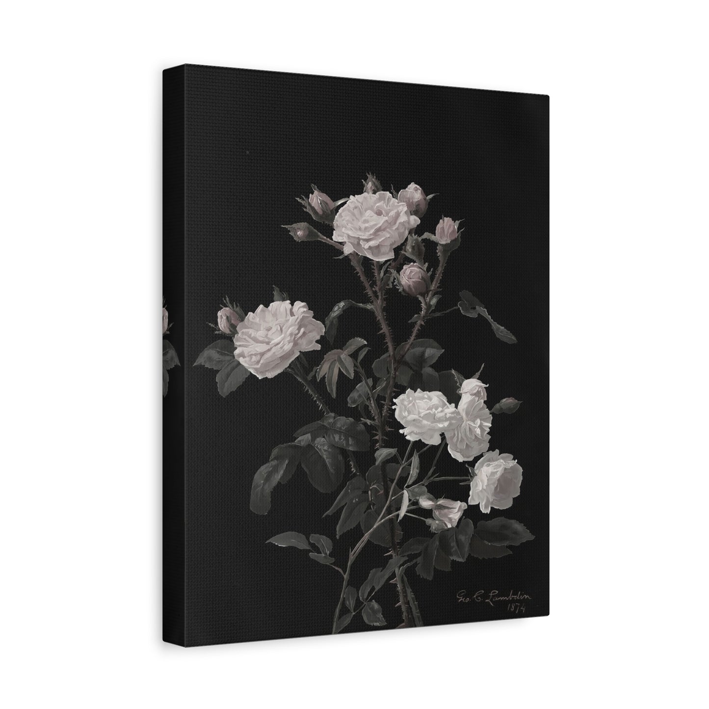 Vintage White Roses Canvas Wall Art — Matte Stretched Floral Print