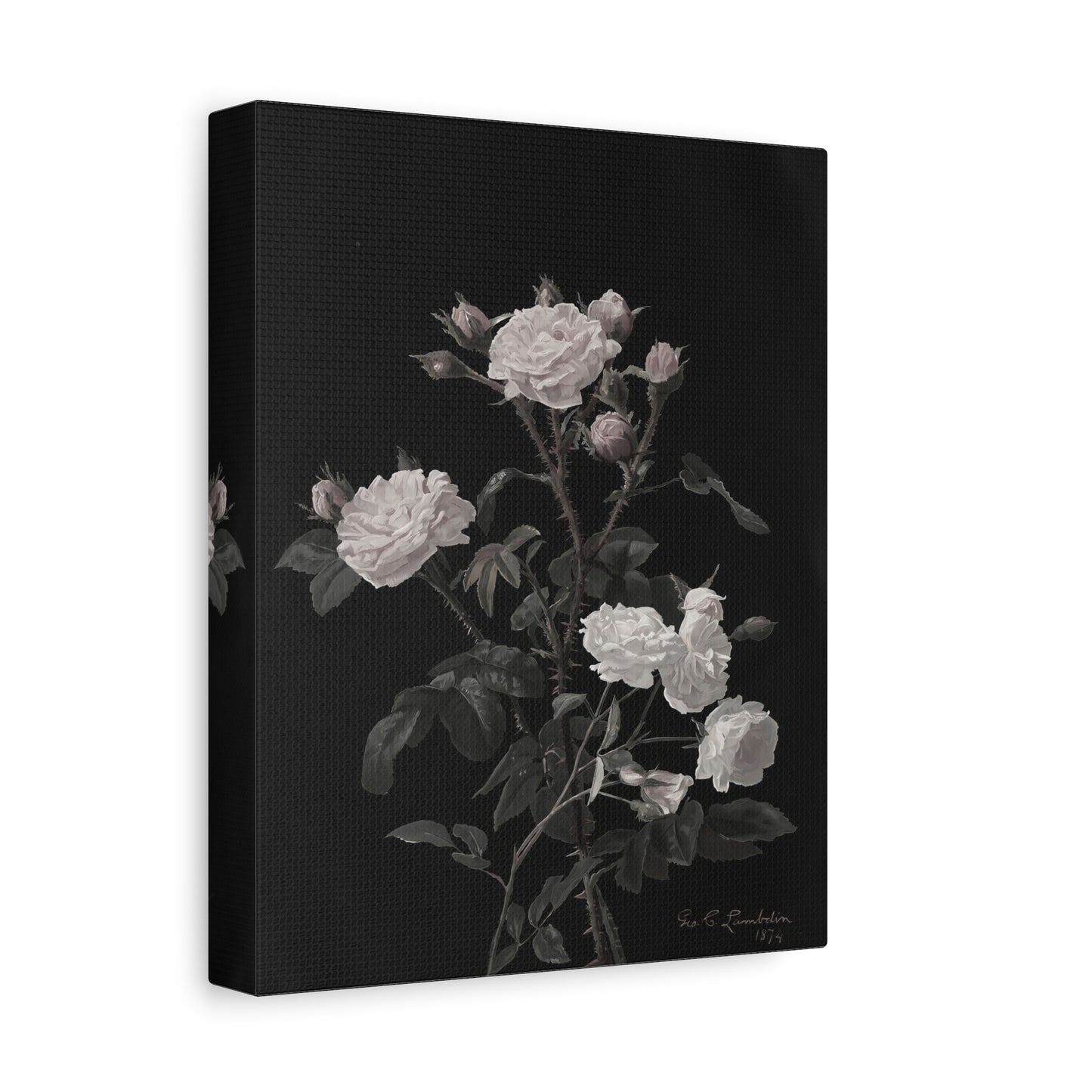 Vintage White Roses Canvas Wall Art — Matte Stretched Floral Print