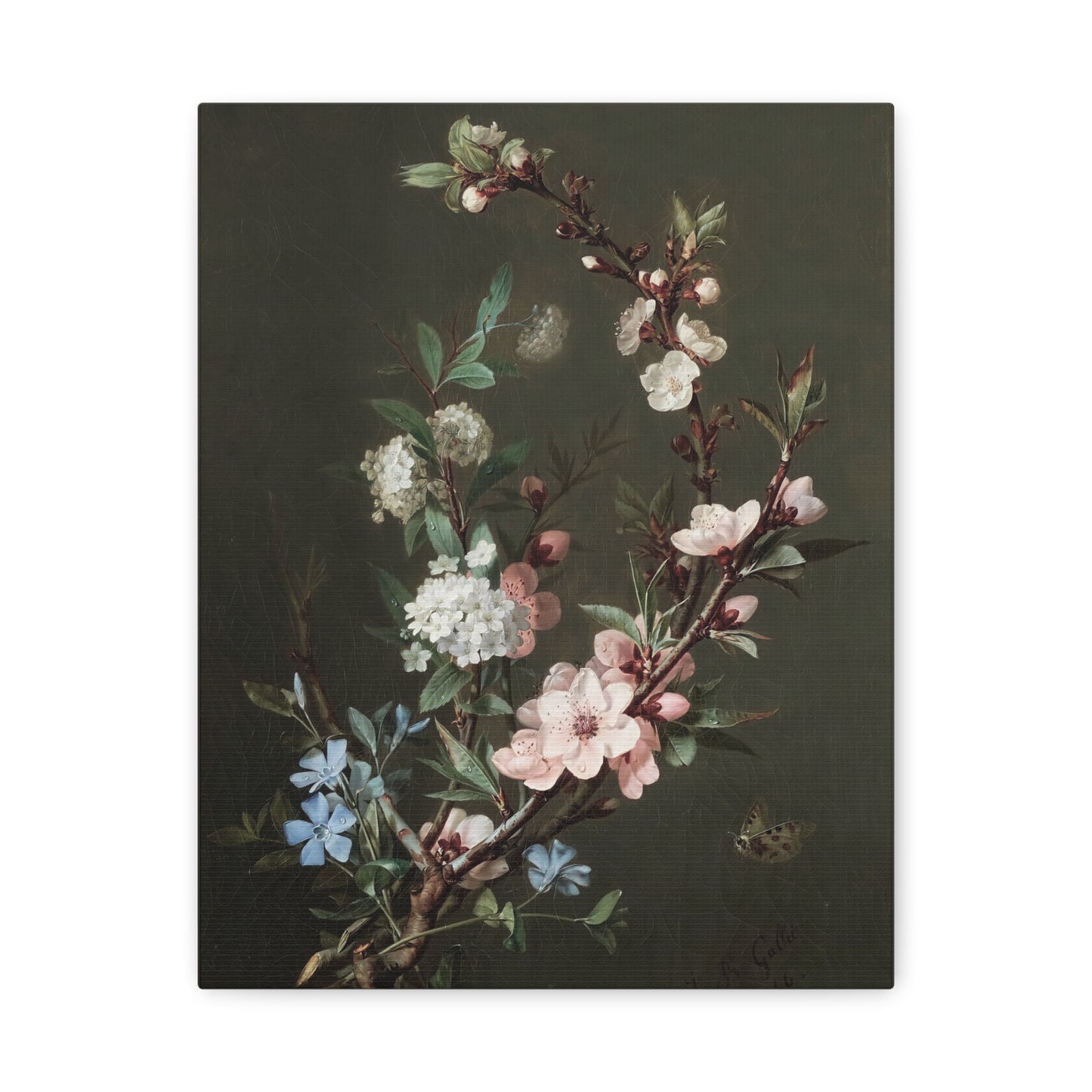 Floral Branch Matte Canvas Print — Stretched Botanical Wall Art