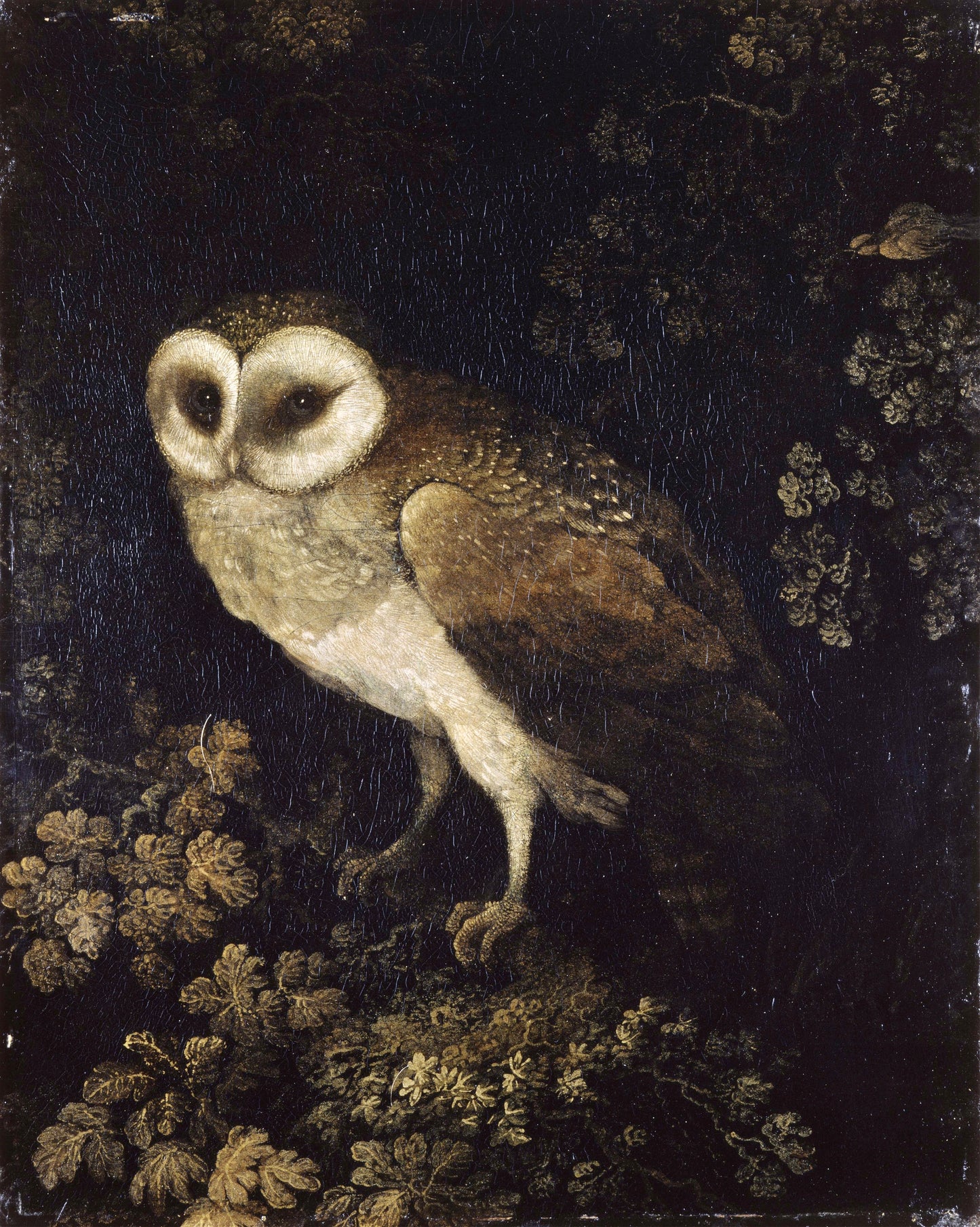 Painting of an owl in a natural setting with flowers and foliage.