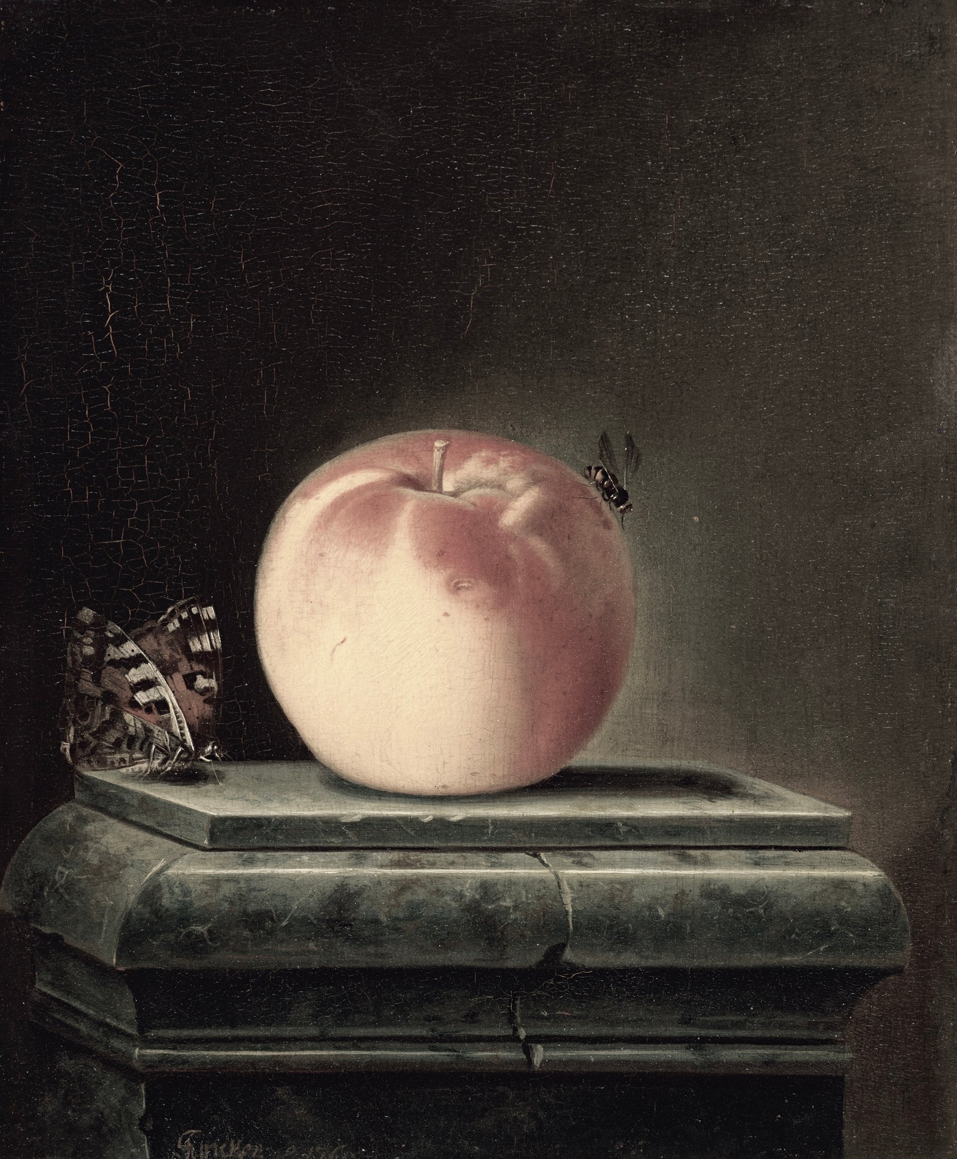 Still life painting of an apple with a butterfly and wasp on a dark background