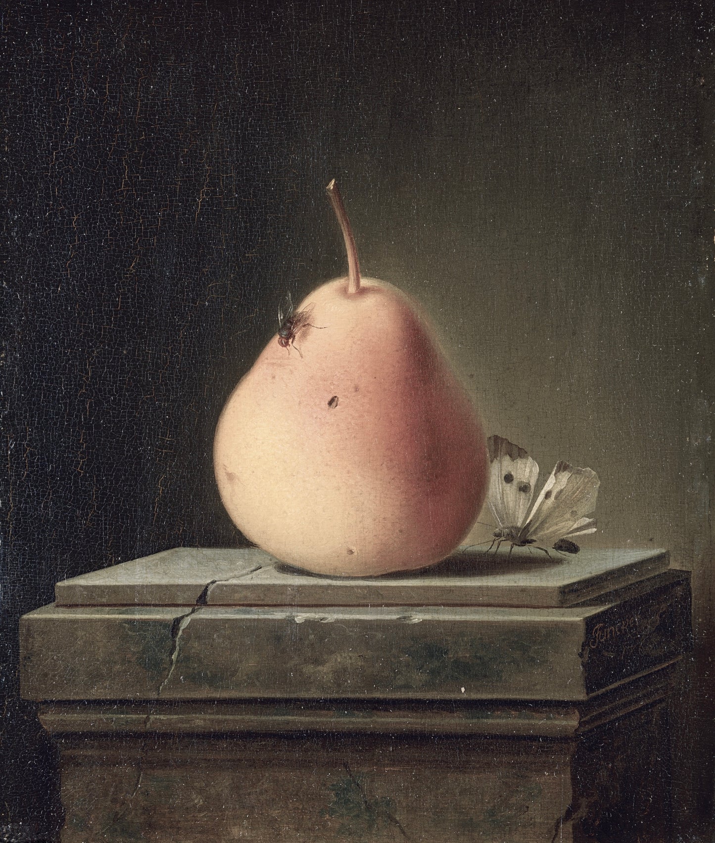 Still life painting of a pear with a butterfly and ant on a dark background