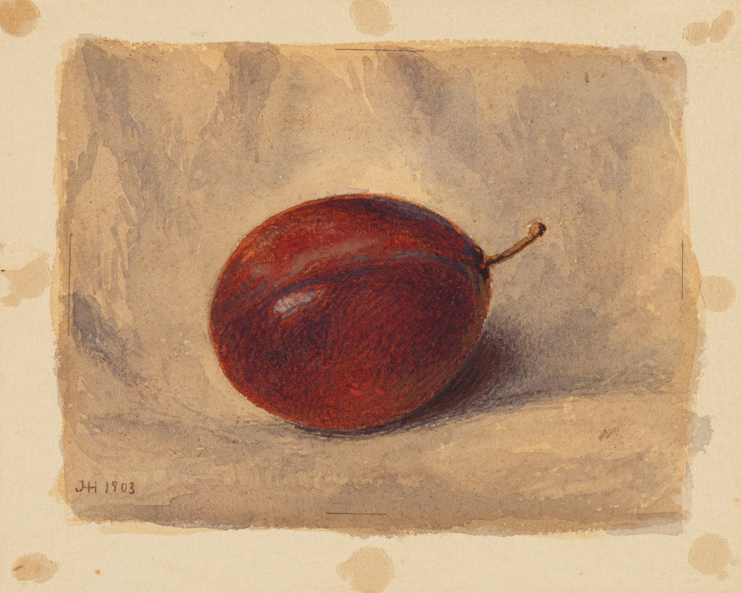 Artistic depiction of a plum on a textured surface with 'JH 1703' marking.