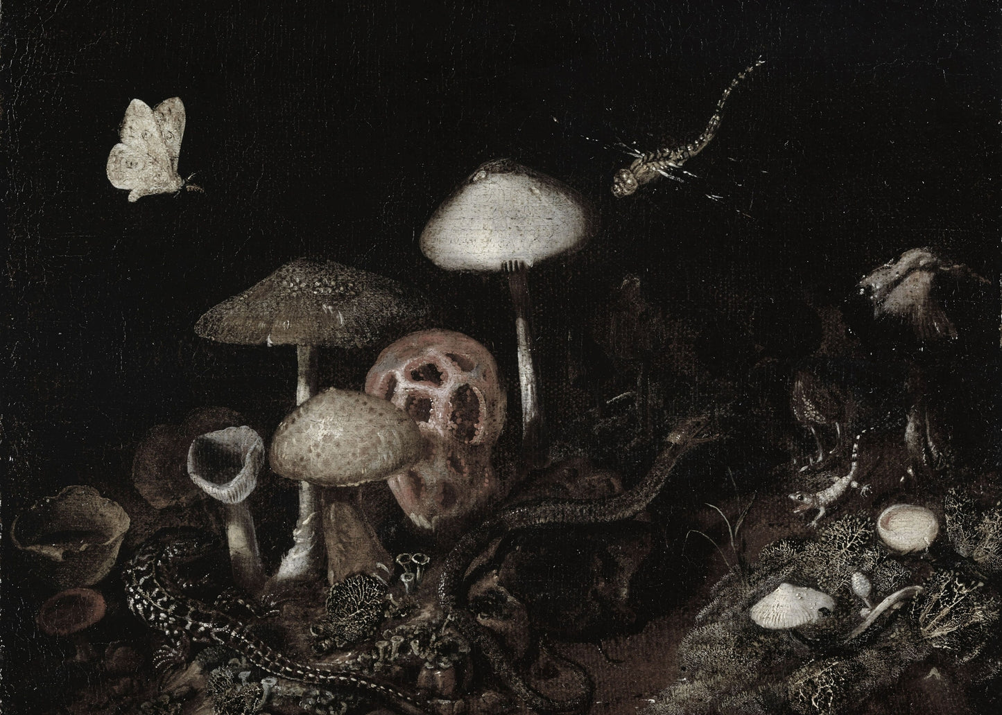 Gold Framed Mushroom Botanical Print | Dark Academia Wall Art