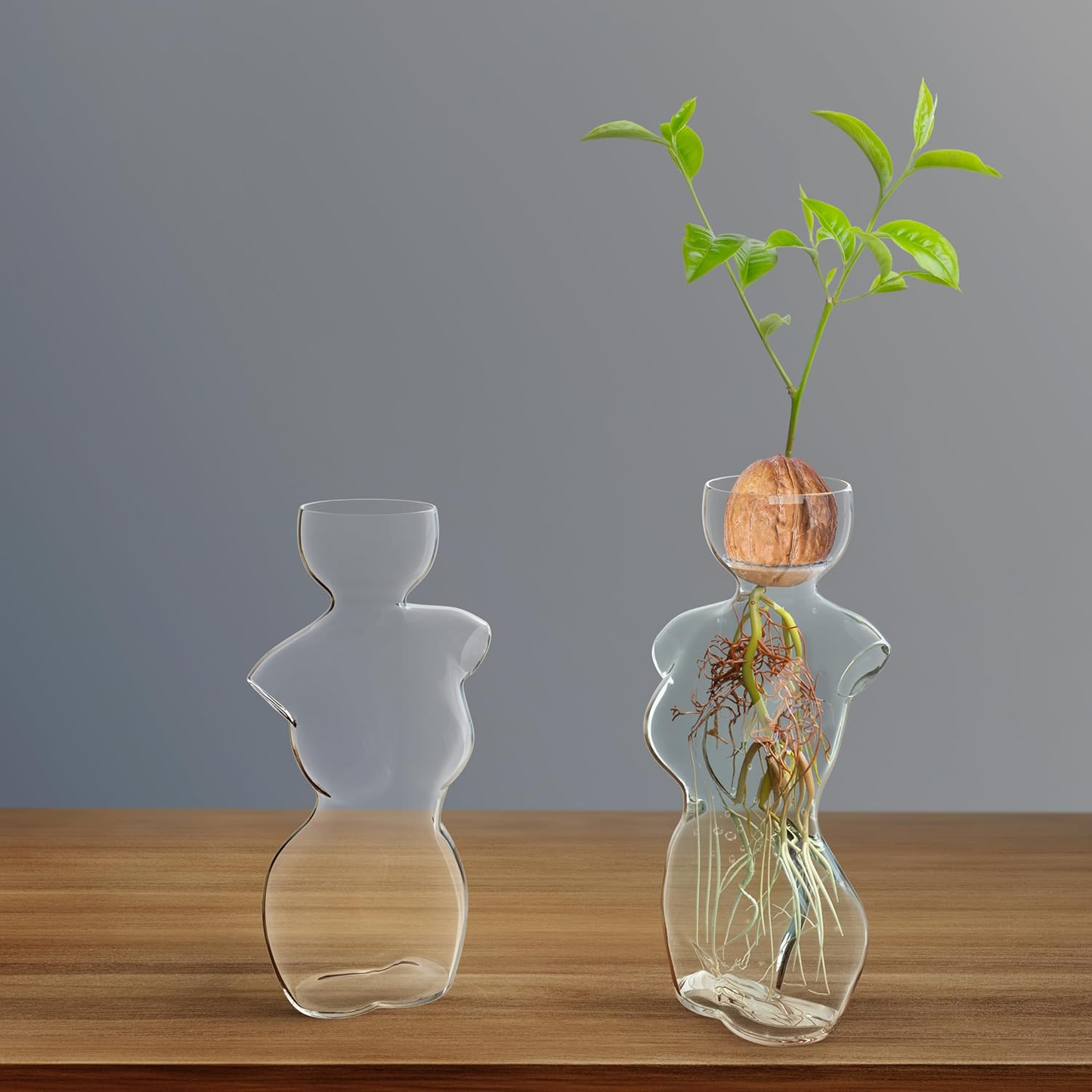 Female Silhouette Glass Propagation Vase - Hourglass Plant Rooting Vase for Avocado, Cuttings & Bulbs