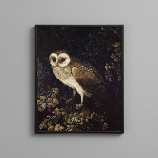 Barn owl vintage wildlife fine art print, displayed in simple black frame on light gray wall - nature wall art