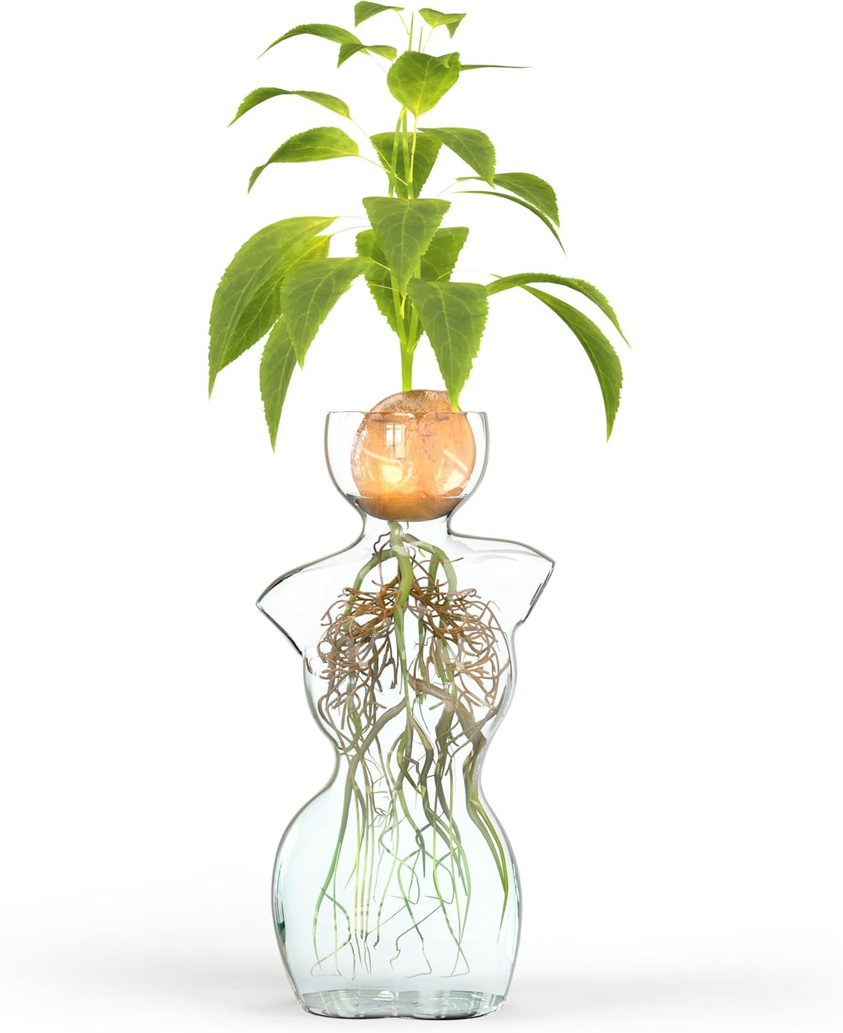 Female Silhouette Glass Propagation Vase - Hourglass Plant Rooting Vase for Avocado, Cuttings & Bulbs