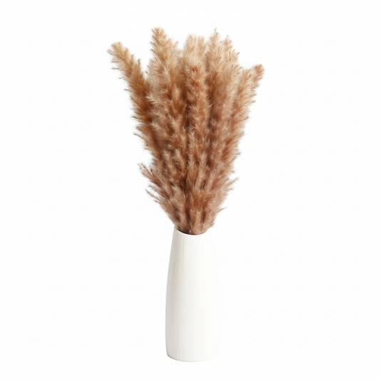 Pampas Grass Dried Flowers