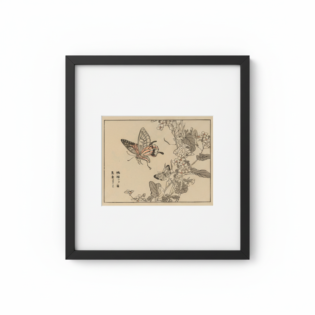 Vintage Japanese Butterfly - Black Frame